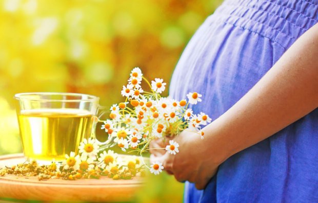 Ромашковый чай при беременности
