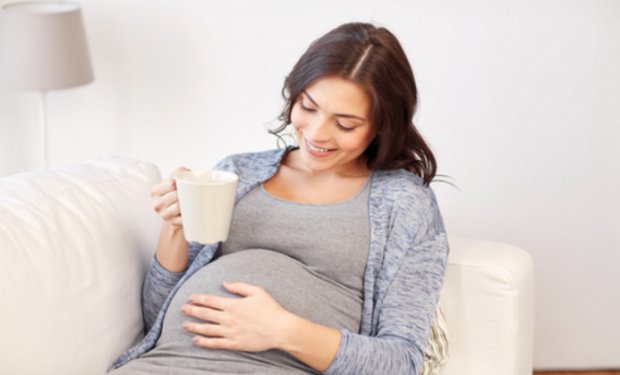 Употребление шиповника при беременности