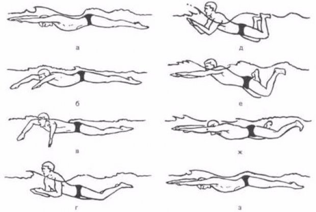 Положение тела при плавании брассом