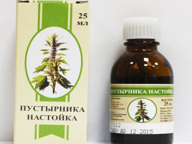 Настойка пустырника своими руками Настойка пустырника своими руками
