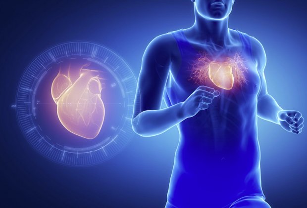 Коэнзим Q10 – помощник для увеличения энергии сердца