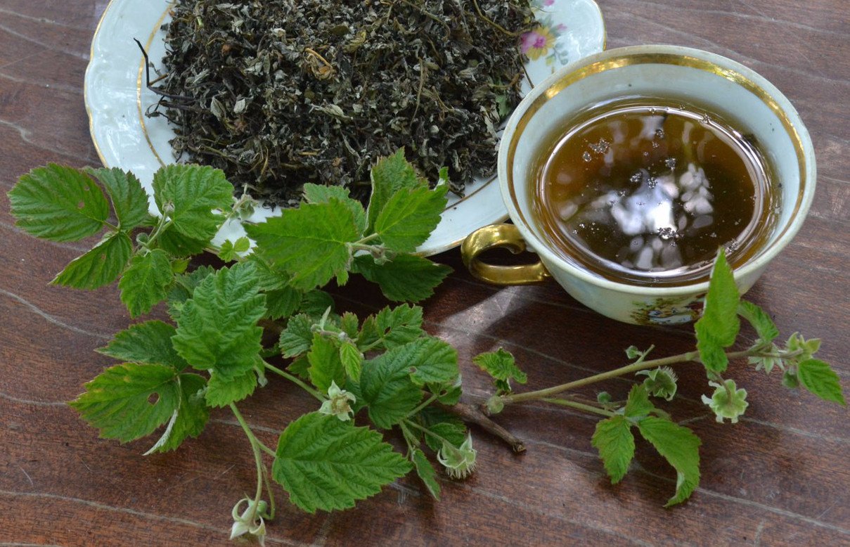 Чай с листьями малины. Ферментированные листья малины. Чай из листьев малины ферментация. Чай из смородиновых листочков. Чай с листьями смородины.