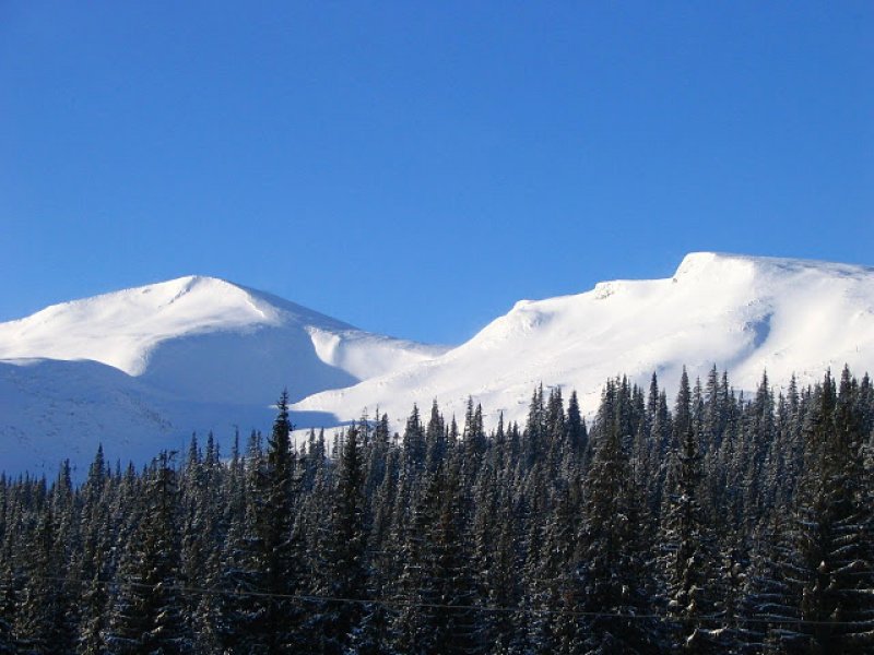 Гора Близница (Украина)
