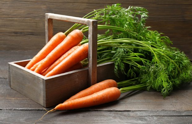 Польза морковной ботвы