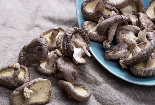 Сушеные грибы шиитаке