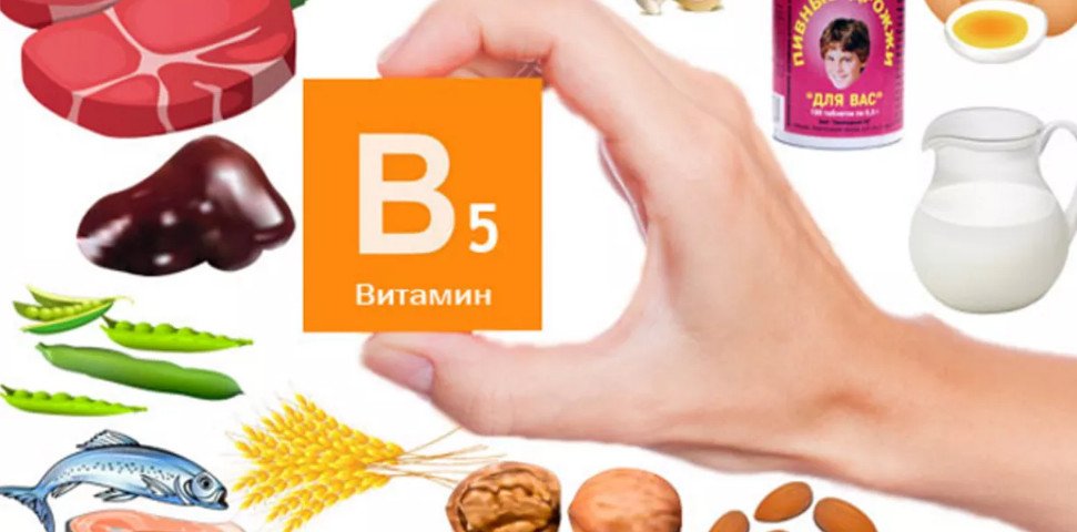 Совместимость витаминов и минералов: какие можно принимать вместе, а ...