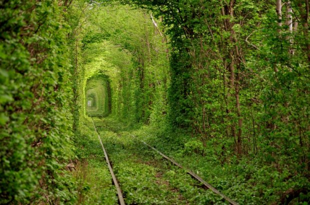 Туннель любви летом
