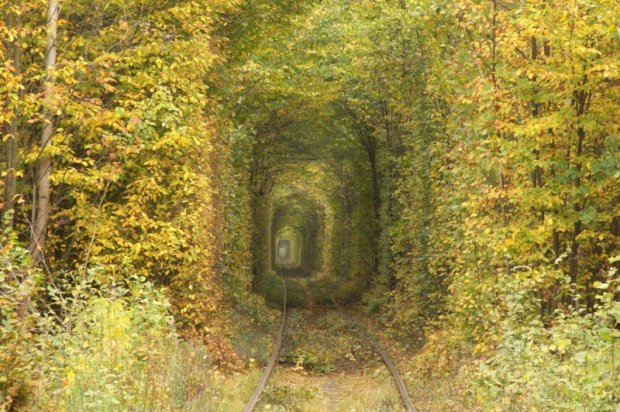 Туннель любви осенью
