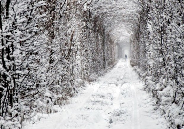 Туннель любви зимой