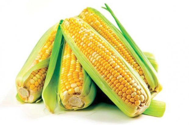 Полезная ли кукуруза