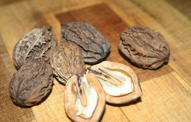 Маньчжурские орехи