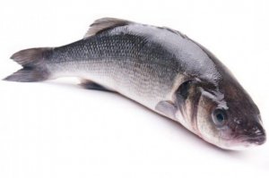 Рыба сибас польза и вред