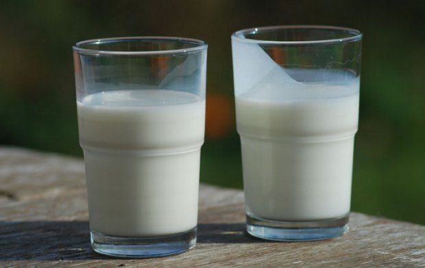 Безлактозное молоко