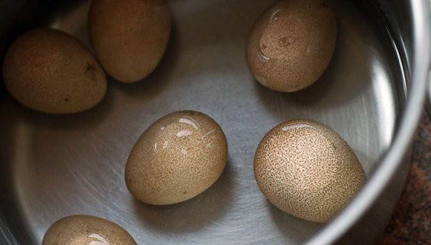 Яйца цесарки в кастрюле