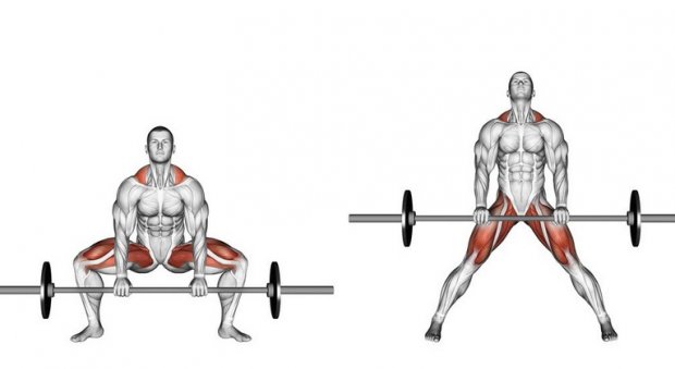 Мышцы, которые работают при становой тяге сумо