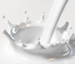 Молочный протеин