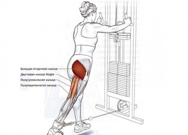 Основные задействованные мышцы при отведении ног