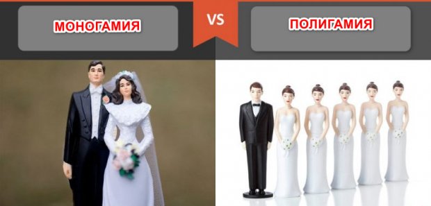 Разница между моногамией и полигамией