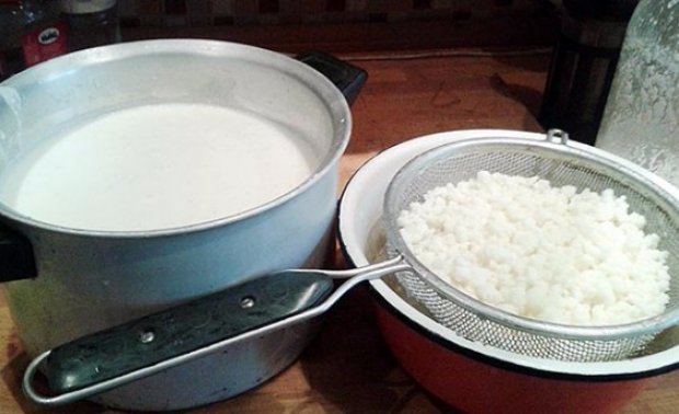 Настой из молочного гриба Настой из молочного гриба