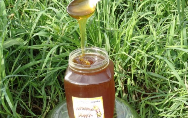 Дягилевый мед